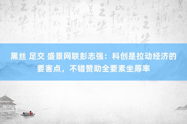 黑丝 足交 盛景网联彭志强：科创是拉动经济的要害点，不错赞助全要素坐蓐率