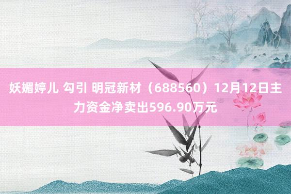 妖媚婷儿 勾引 明冠新材（688560）12月12日主力资金净卖出596.90万元