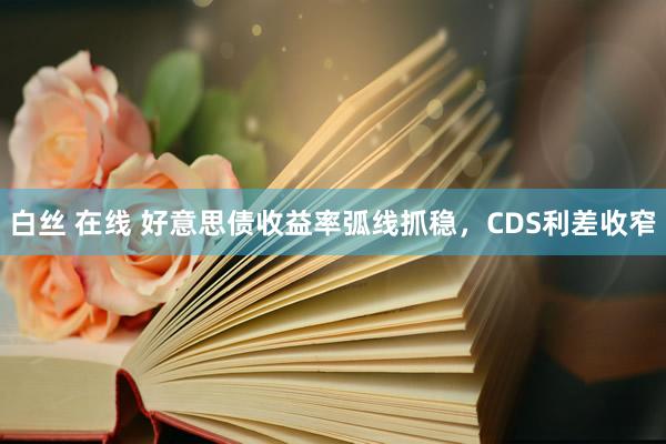 白丝 在线 好意思债收益率弧线抓稳，CDS利差收窄
