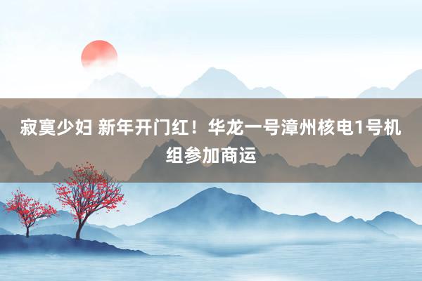 寂寞少妇 新年开门红！华龙一号漳州核电1号机组参加商运