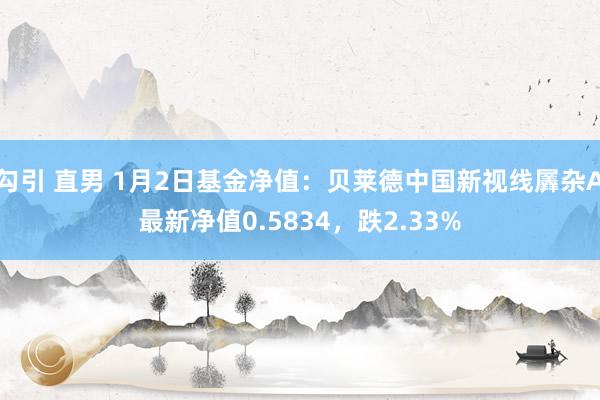 勾引 直男 1月2日基金净值：贝莱德中国新视线羼杂A最新净值0.5834，跌2.33%