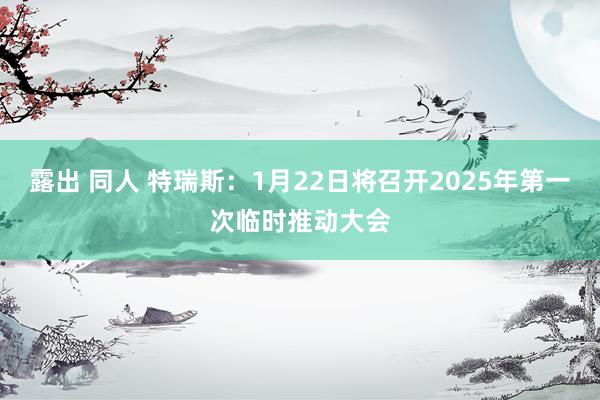 露出 同人 特瑞斯：1月22日将召开2025年第一次临时推动大会