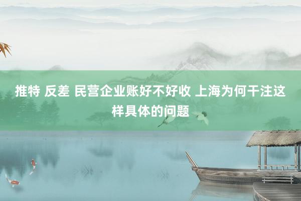 推特 反差 民营企业账好不好收 上海为何干注这样具体的问题