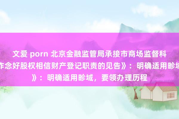 文爱 porn 北京金融监管局承接市商场监督科罚局发布《对于作念好股权相信财产登记职责的见告》：明确适用畛域，要领办理历程