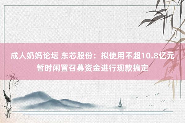 成人奶妈论坛 东芯股份：拟使用不超10.8亿元暂时闲置召募资金进行现款搞定
